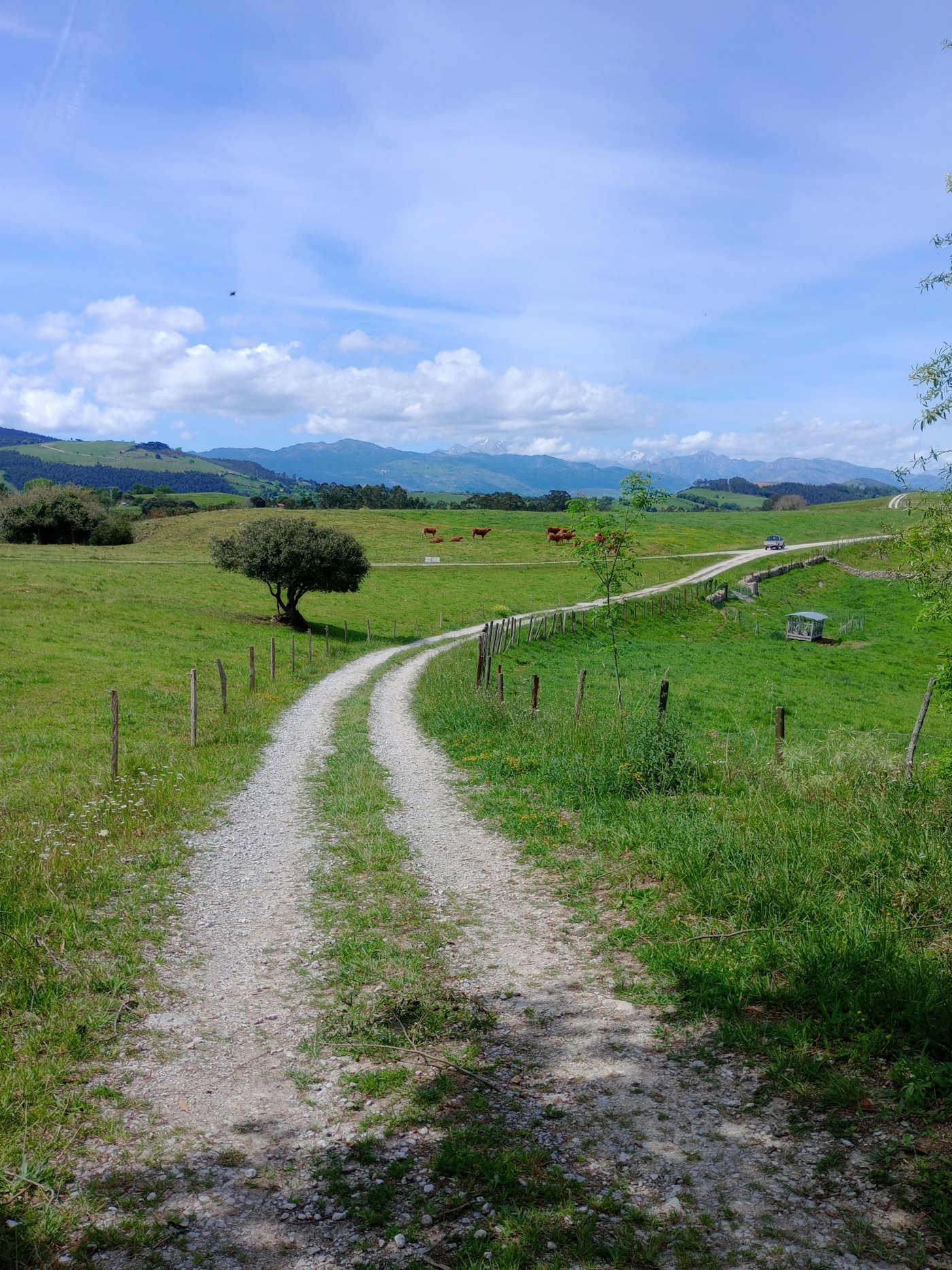 Camino Inglés