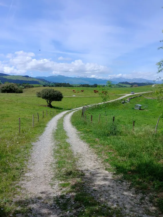 Camino Inglés