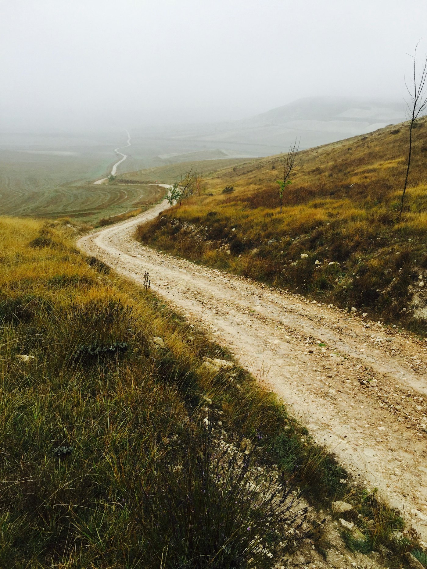 Camino Primitivo