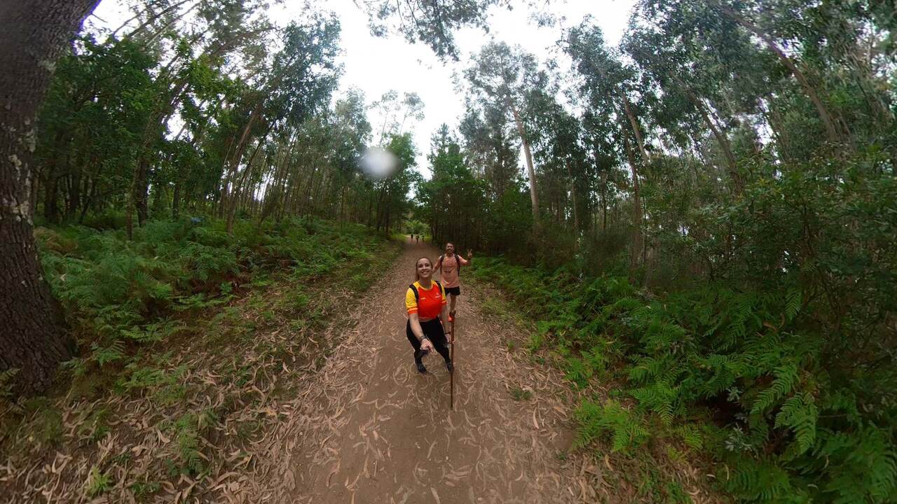 Camino de Santiago